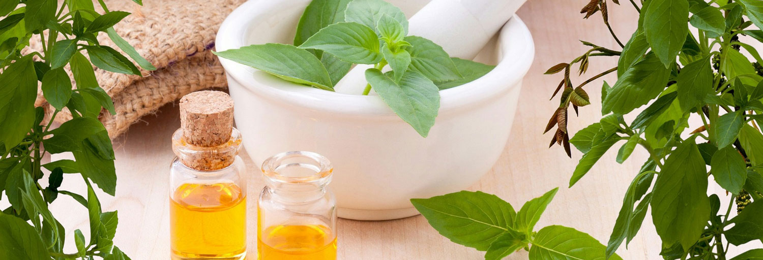 ¿Qué son los aceites esenciales? Imagen que muestra de un bol con plantas para preparar aceites esenciales para la cabecera de la pagina